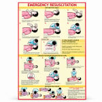 Emergency Resuscitation Chart